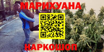 амф Шебекино