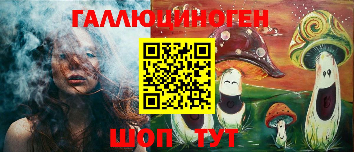 Галлюциногенные грибы Psilocybine cubensis Люберцы