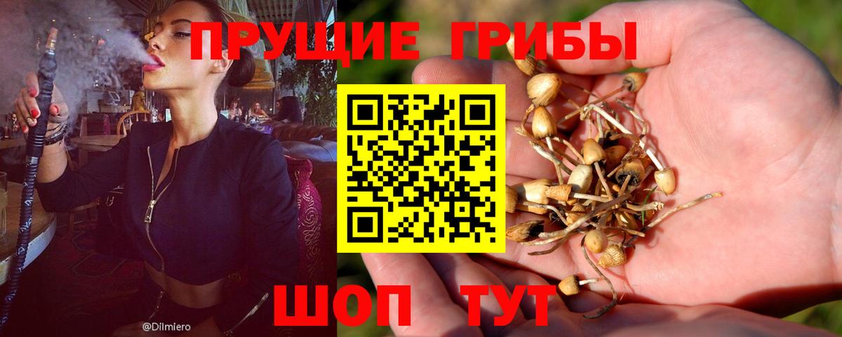 Галлюциногенные грибы Psilocybe  Вход с VPN  Люберцы 
