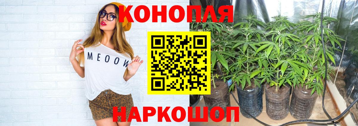 Канабис гибрид Люберцы